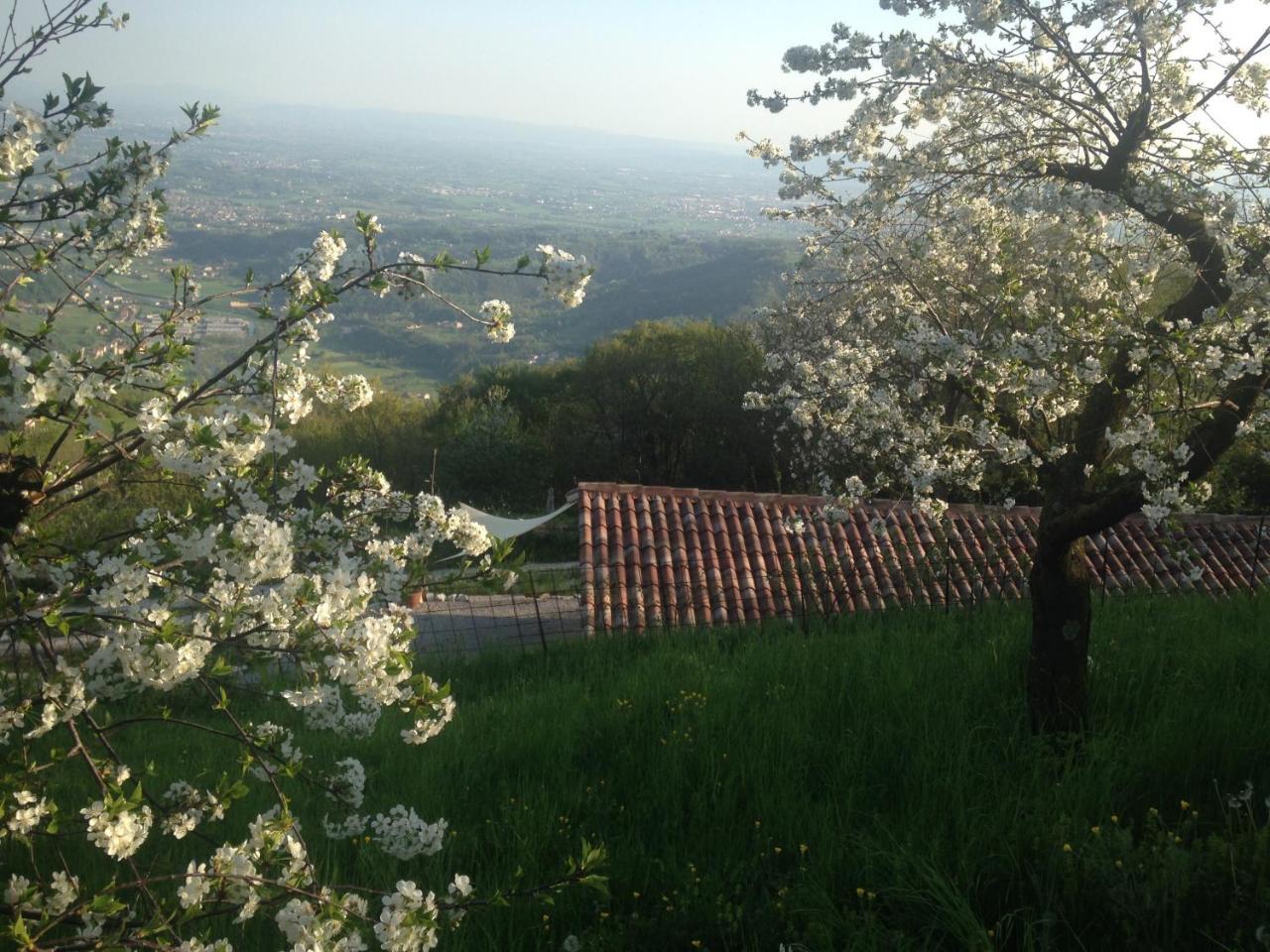 فيلا Calvenere المظهر الخارجي الصورة